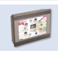 weintek7